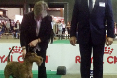 Belgien mit Richter Mr. Tom Hehir