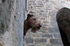 Blick aus dem Fenster