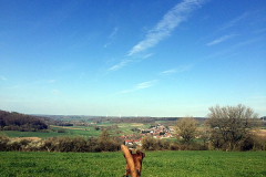 Blick über Shanewood