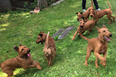 Family happy in Shanewood