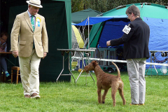 Judging with Style
