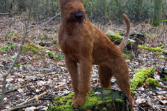 Ira Posing in the woods