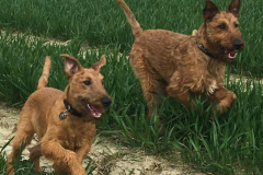 Shane und Ira geben Gas