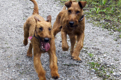 Shane und Ruby geben Gas