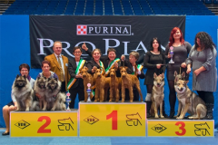 Zuchtgruppe Emsmühle