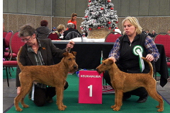 Amsterdam Winner