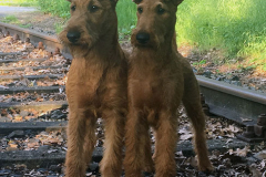 Sisters