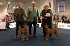 Sisters showing in Dortmund