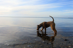 Ostsee