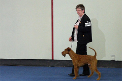 Warten bis es losgeht