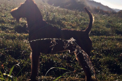 Herbststimmung in Shanewood