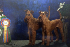 Shane und Wurfschwester  Scarlett von der Emsmühle