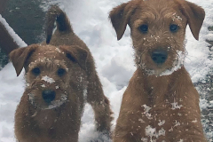 Zwei der drei Zwerge