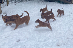 Toben mit den Eltern