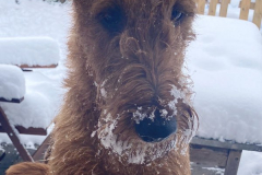 Ira schaut mal rein!
