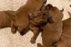 Gedränge im Beiboot