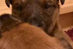 Ist das schon d'hurty expression?