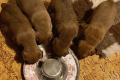 Das schmeckt auch ganz gut