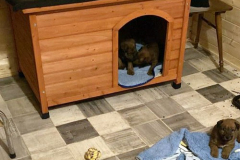 Ein kleines Häuschen im Häuschen