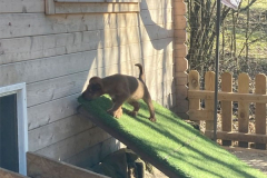 Kletterwand. Der Kleine ist trittsicher