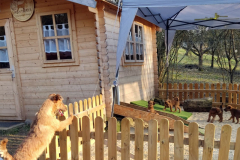 Besuch von den großen Schwestern Frieda und Titu