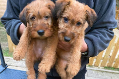 Sisters