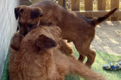 Ein kleiner Bursche und die Mama