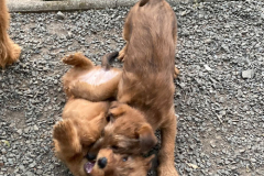 Ich bin aber stärker