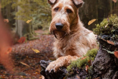 Bradley Berris McGowan