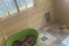 Erster Nachmittag im Welpenhaus, es wird geruht.