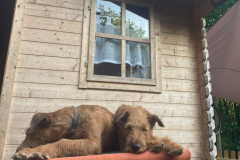 Ira & Bantry