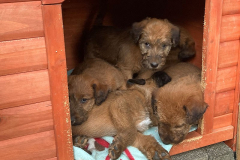 Im kleinen Häuschen