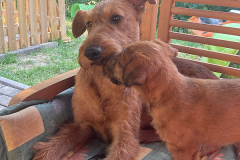 Butzeln mit der großen Schwester