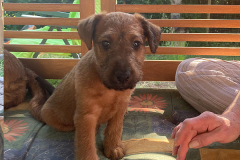 Schon früh lernen sie moderne Kommunikationsmittel kennen