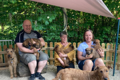 die ganz Familie