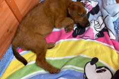 Na, wenn das nicht Paulinchen ist