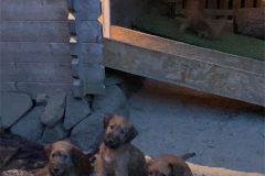 Abendstimmung und Kühle