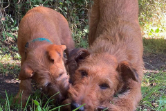 Hannes und Ira