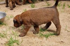 Was gibt es da zu sehen