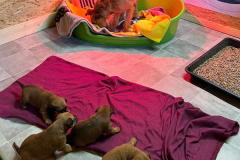 Erster Tag auf dem Spielplatz