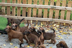All togeher