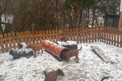 Nun kennen sie Schnee