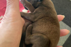 IMG-20250920-WA00011