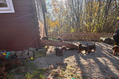 Sonne und der Himmel ist blau