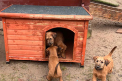 Ich will auch da rein