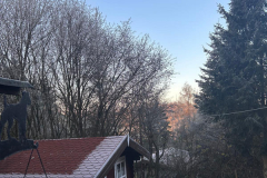 Morgenstimmung