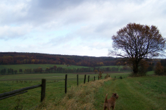 Wanderung