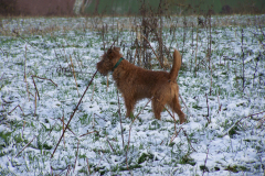Früher Schnee